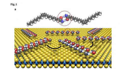 Probing the crystallographic orientation of two-dimensional atomic crystals with supramolecular self-assembly
