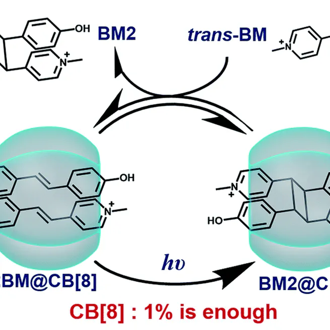 Supramolecular catalyst functions in catalytic amount: cucurbit[8]uril accelerates the photodimerization of Brooker’s merocyanine