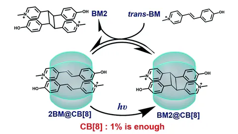 Supramolecular catalyst functions in catalytic amount: cucurbit[8]uril accelerates the photodimerization of Brooker’s merocyanine