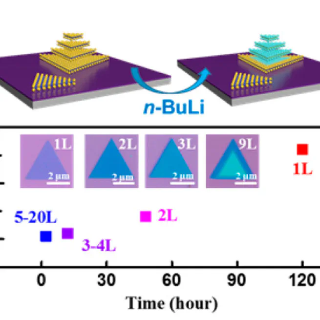 Layer-Dependent Chemically Induced Phase Transition of Two-Dimensional MoS2