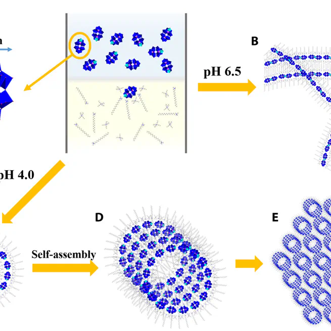 Single molecule–mediated assembly of polyoxometalate single-cluster rings and their three-dimensional superstructures