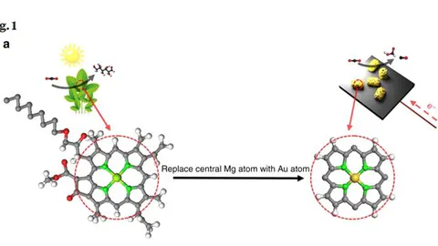 Visible-light-switched electron transfer over single porphyrin-metal atom center for highly selective electroreduction of carbon dioxide