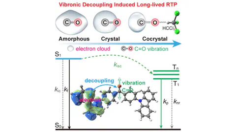 Hydrogen Bonding-Induced Morphology Dependence of Long-Lived Organic Room-Temperature Phosphorescence: A Computational Study