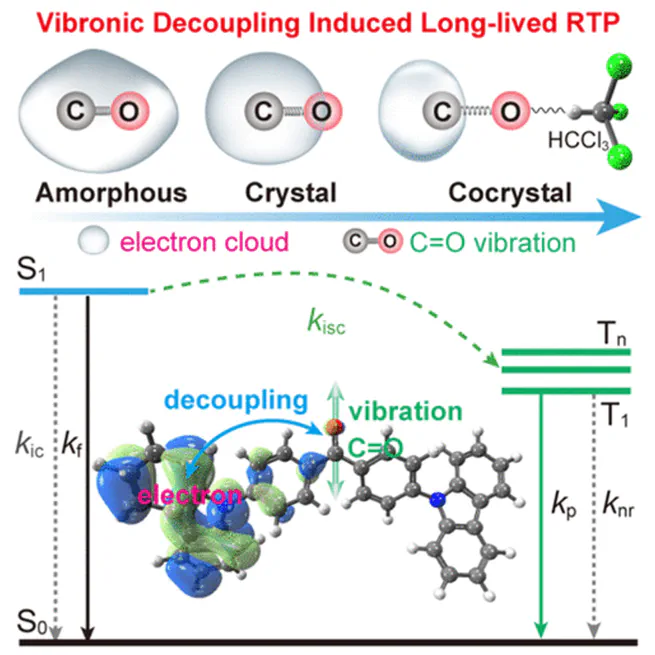 Hydrogen Bonding-Induced Morphology Dependence of Long-Lived Organic Room-Temperature Phosphorescence: A Computational Study