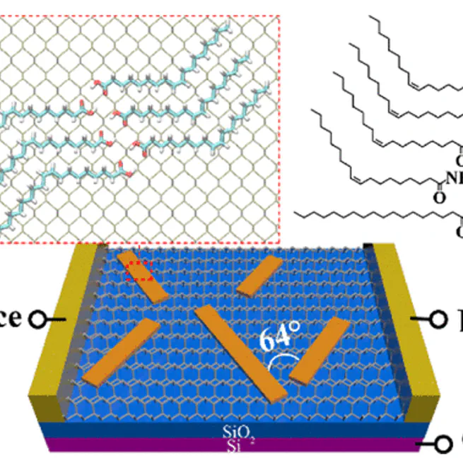 cis-C═C Bond and Amide Regulated Oriented Supramolecular Assembly on Two-Dimensional Atomic Crystals