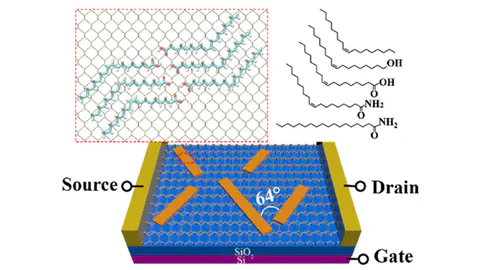 cis-C═C Bond and Amide Regulated Oriented Supramolecular Assembly on Two-Dimensional Atomic Crystals
