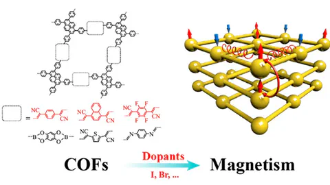 Metal-Free Magnetism in Chemically Doped Covalent Organic Frameworks