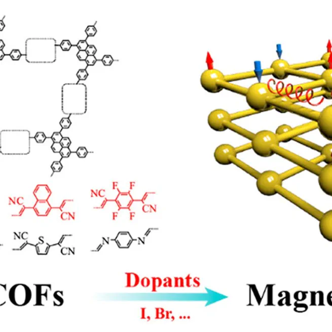 Metal-Free Magnetism in Chemically Doped Covalent Organic Frameworks
