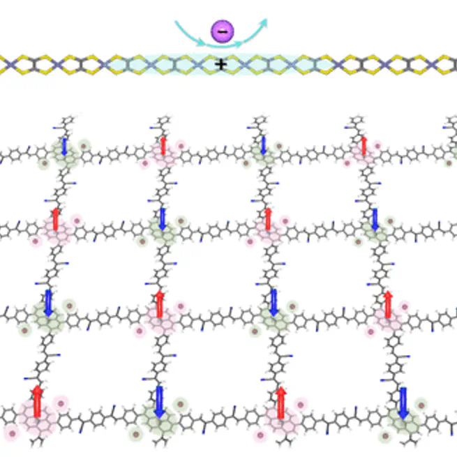 Chemical Doping of Organic and Coordination Polymers for Thermoelectric and Spintronic Applications: A Theoretical Understanding