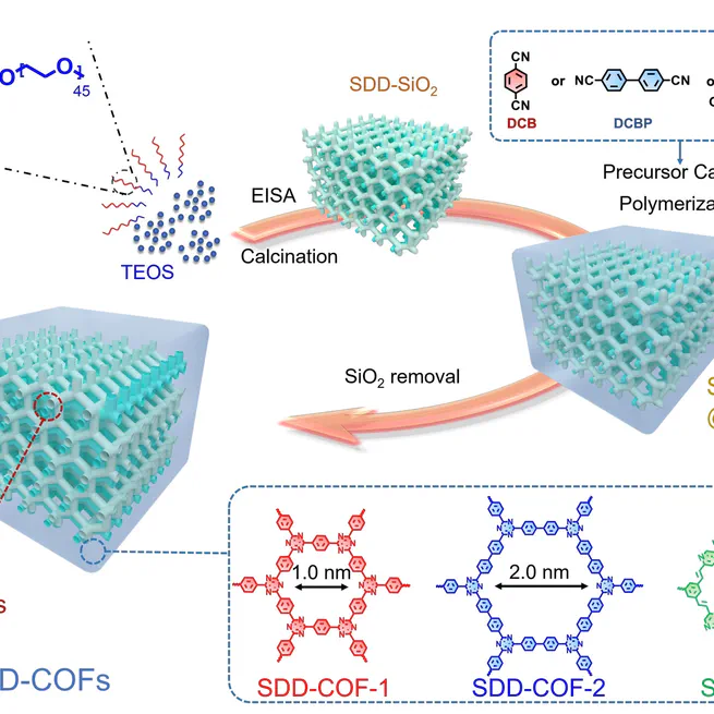 Increasing the Accessibility of Internal Catalytic Sites in Covalent Organic Frameworks by Introducing a Bicontinuous Mesostructure