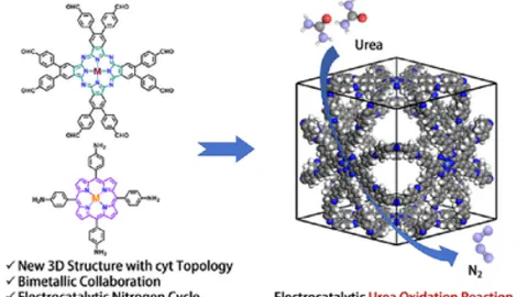 24. Three-Dimensional Porphyrin and Phthalocyanine-Based Covalent Organic Frameworks for Boosting Urea Oxidation
