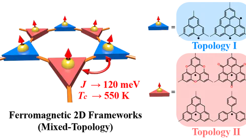 28. Metal-Free Ferromagnetism in Triangulene Two-Dimensional Frameworks