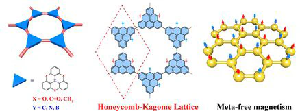 Metal-Free Magnetism in 2D Polymers