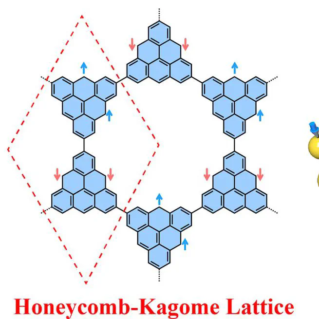 Metal-Free Magnetism in 2D Polymers