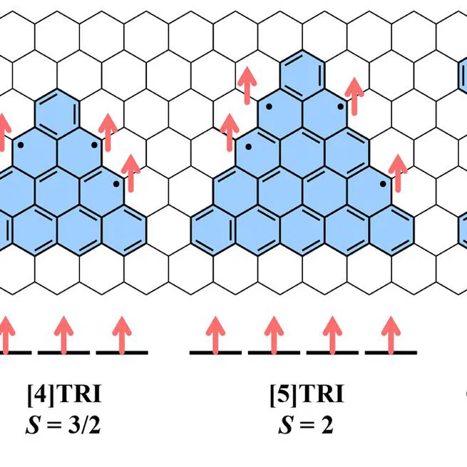 Spins in Organic Radicals