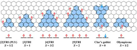 Spins in Organic Radicals